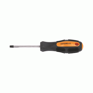 Screwdriver Torx® with a round rod